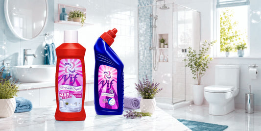 Bathroom Cleaning & Toilet Hygiene Guide